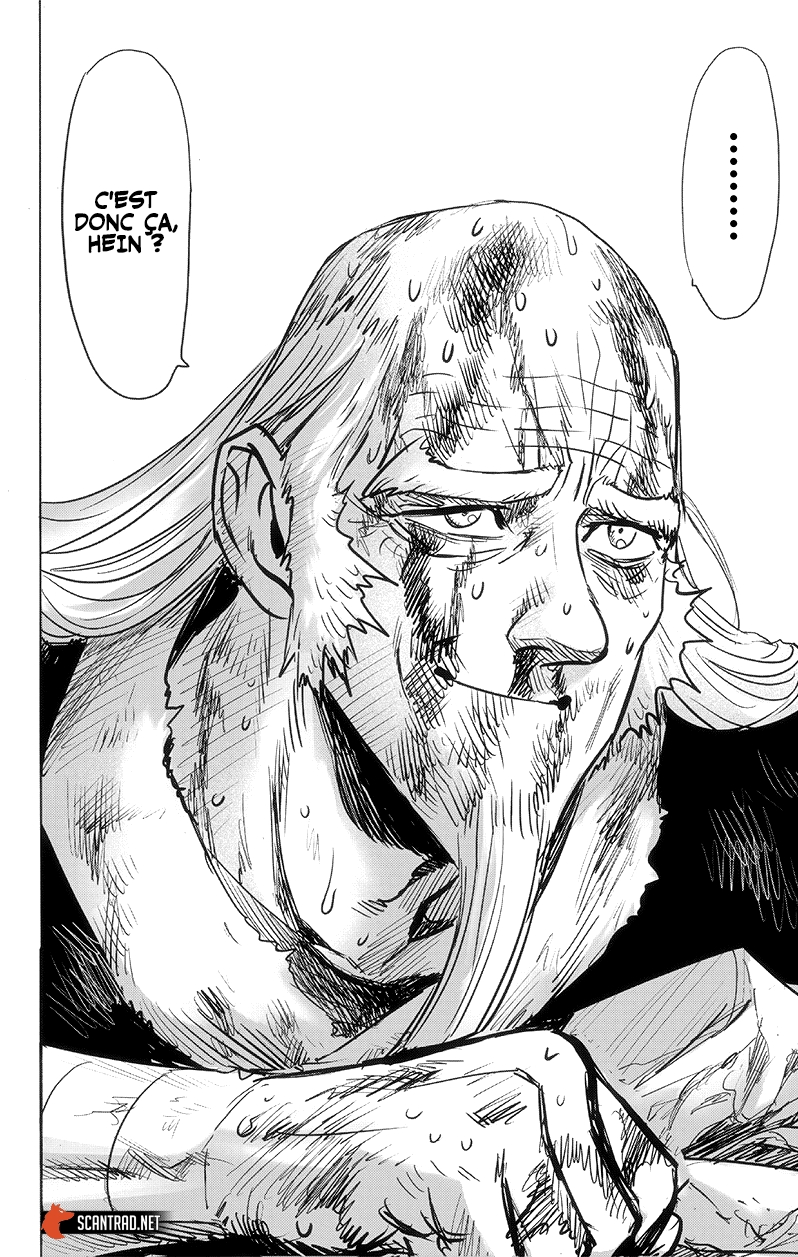 Read One Punch man (fr) Manga Online