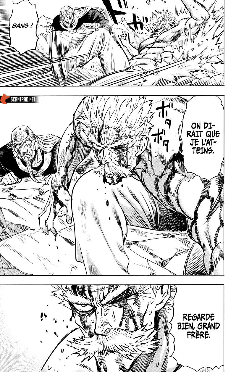 Read One Punch man (fr) Manga Online