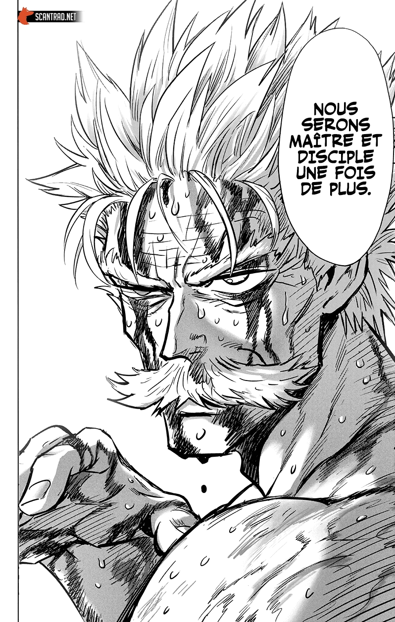 Read One Punch man (fr) Manga Online