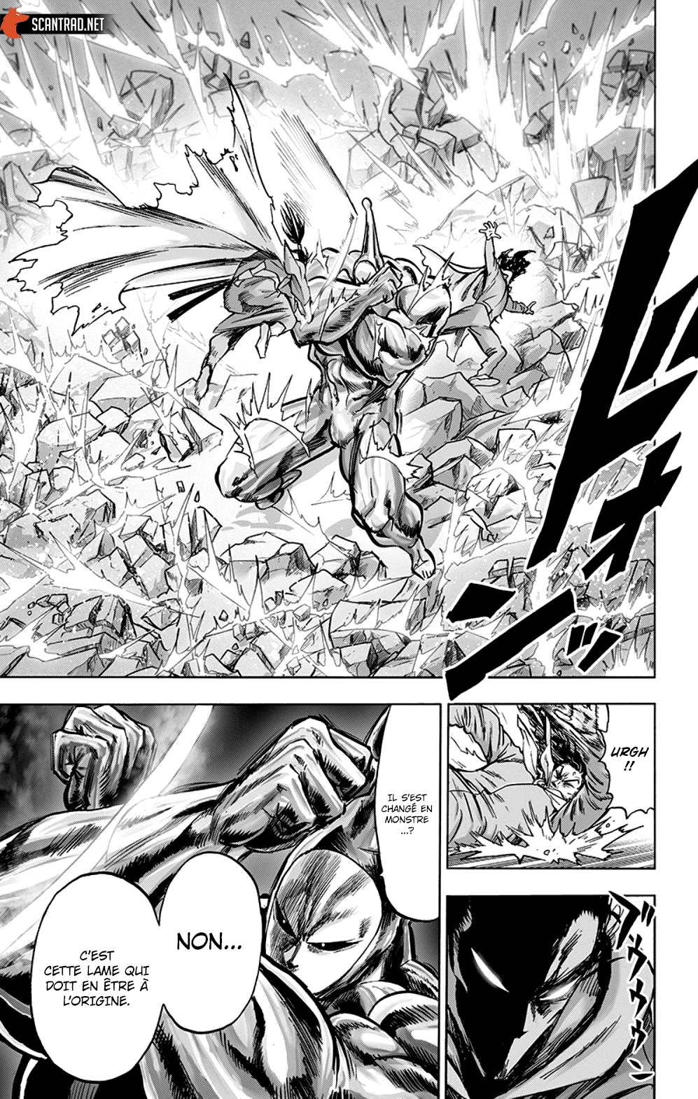 Read One Punch man (fr) Manga Online