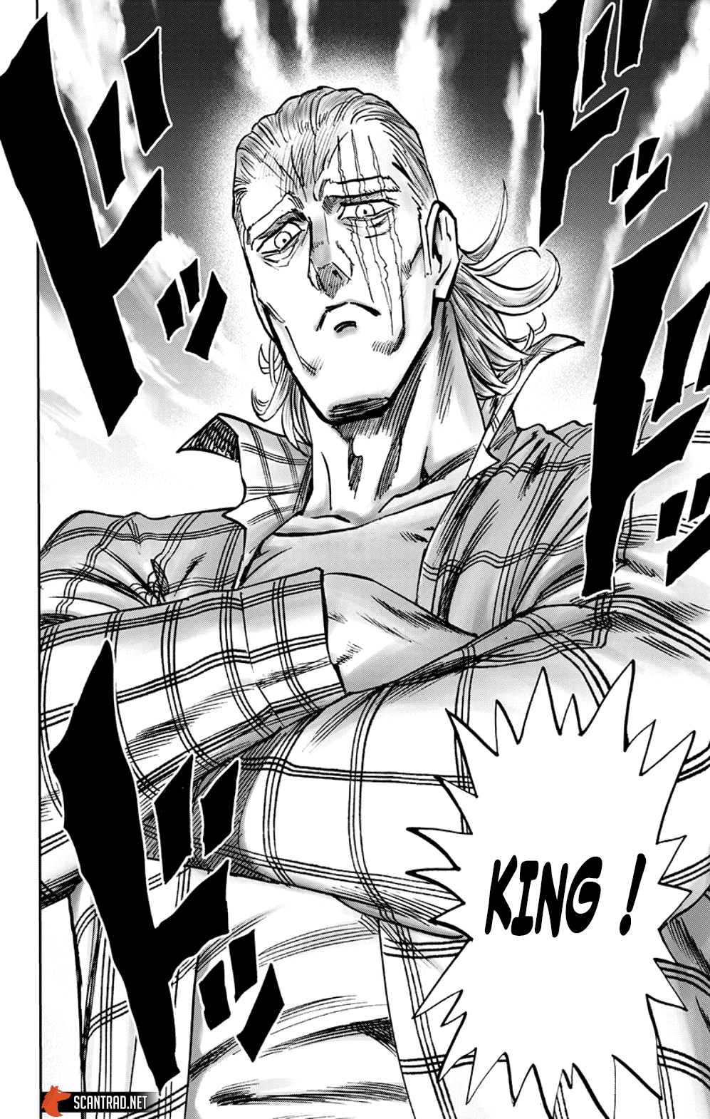 Read One Punch man (fr) Manga Online