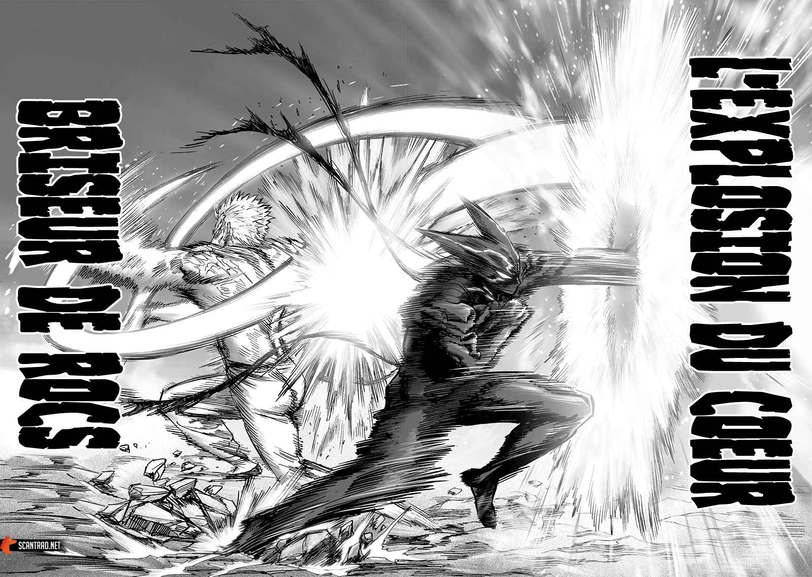 Read One Punch man (fr) Manga Online