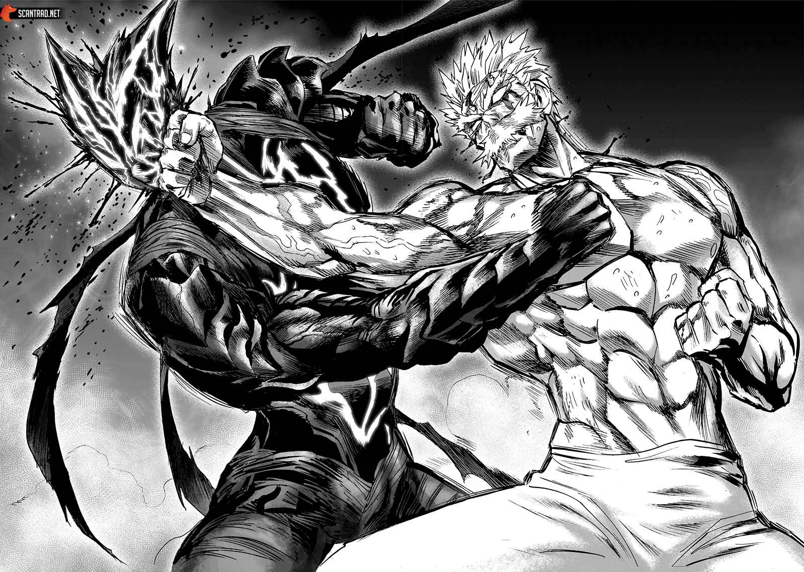 Read One Punch man (fr) Manga Online