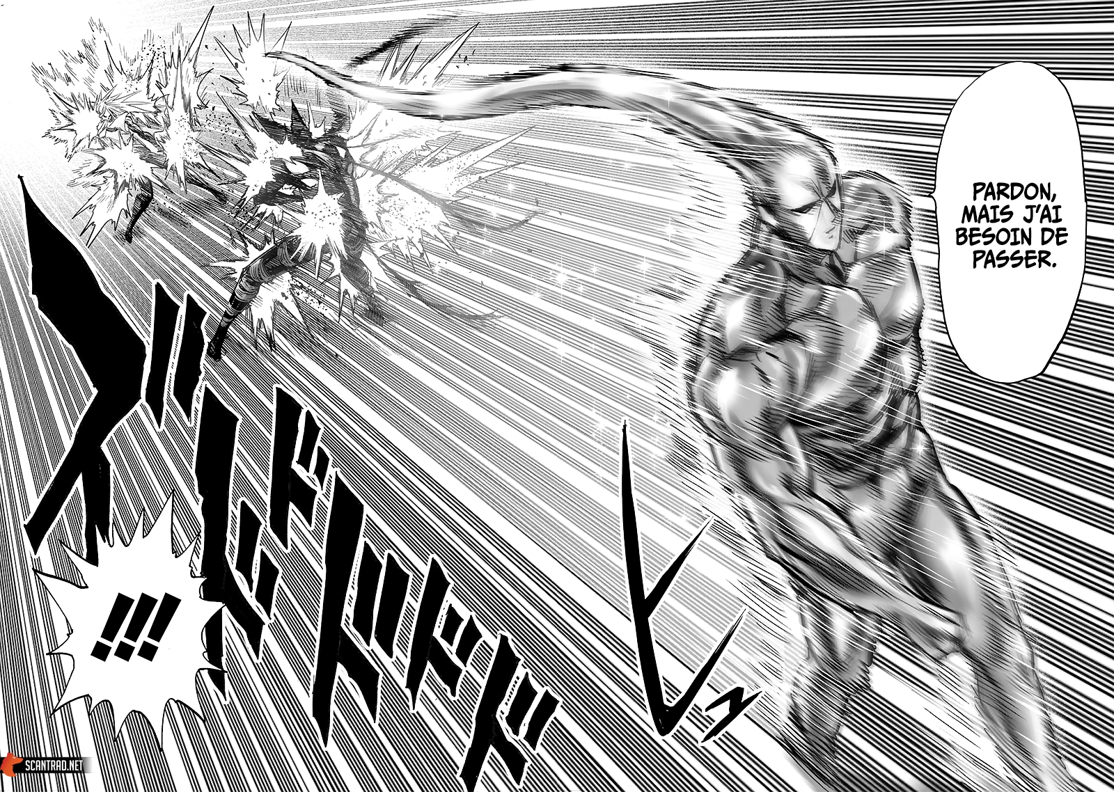 Read One Punch man (fr) Manga Online
