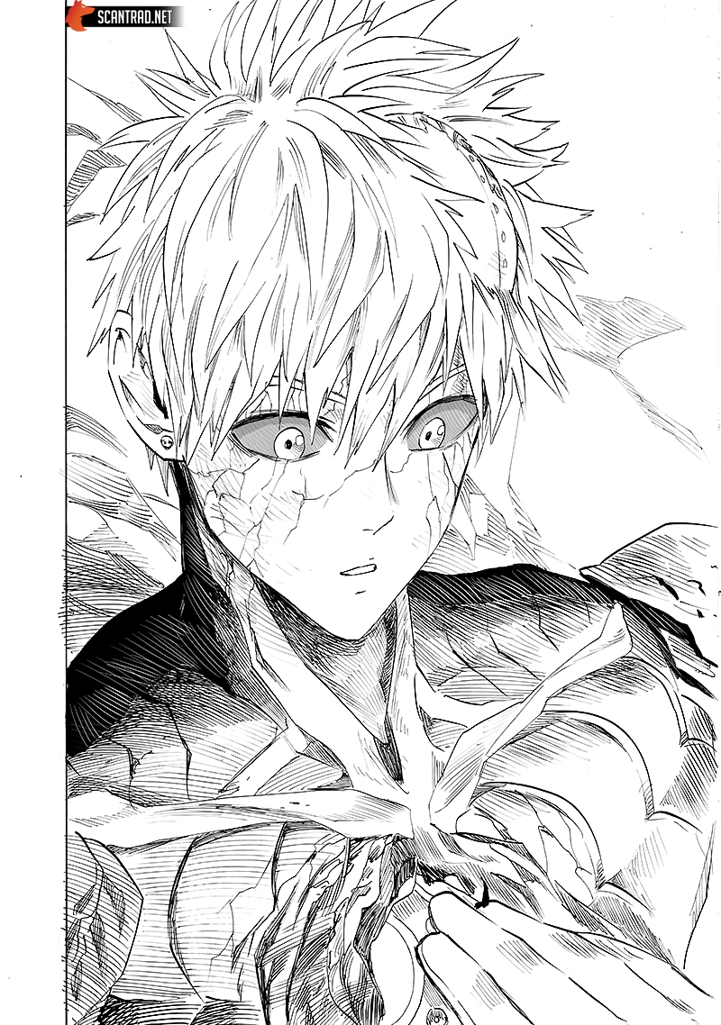 Read One Punch man (fr) Manga Online