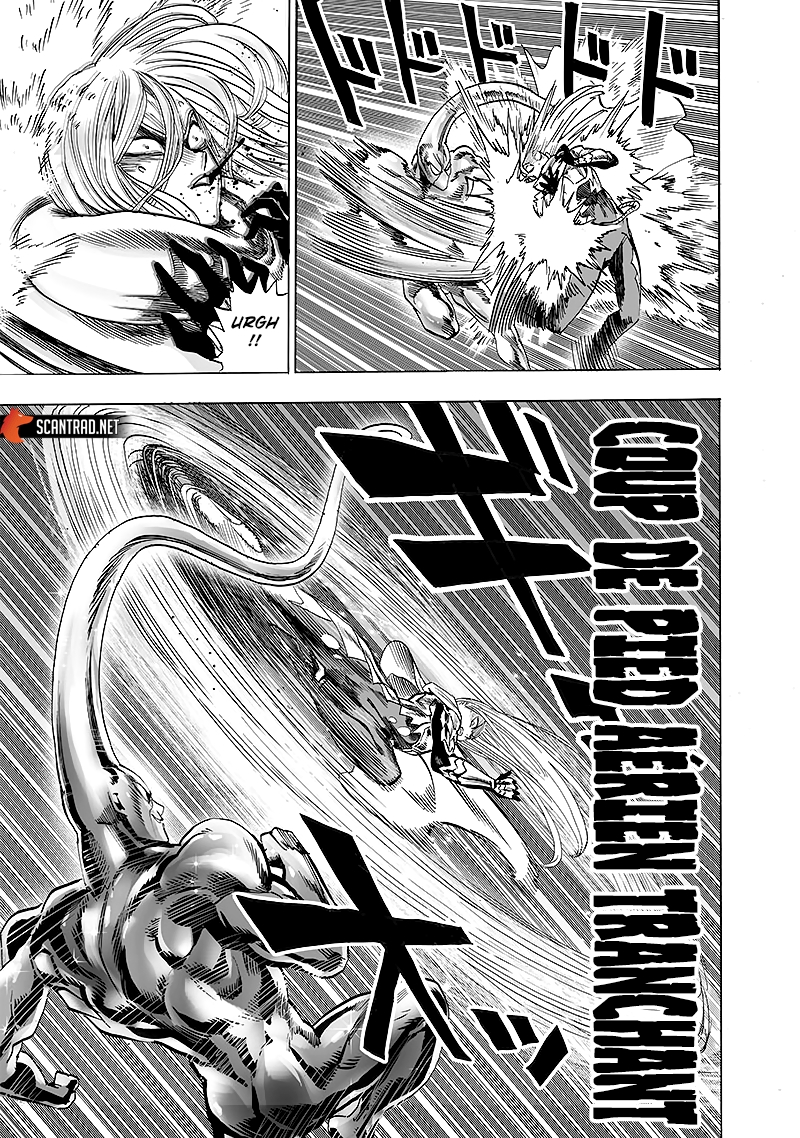 Read One Punch man (fr) Manga Online