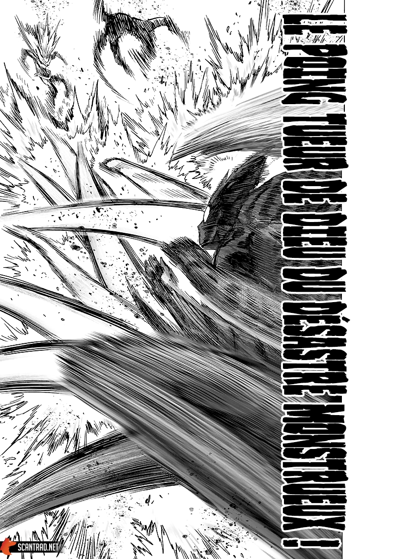Read One Punch man (fr) Manga Online