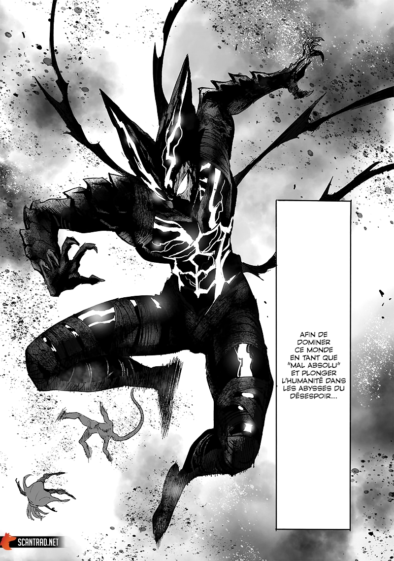 Read One Punch man (fr) Manga Online