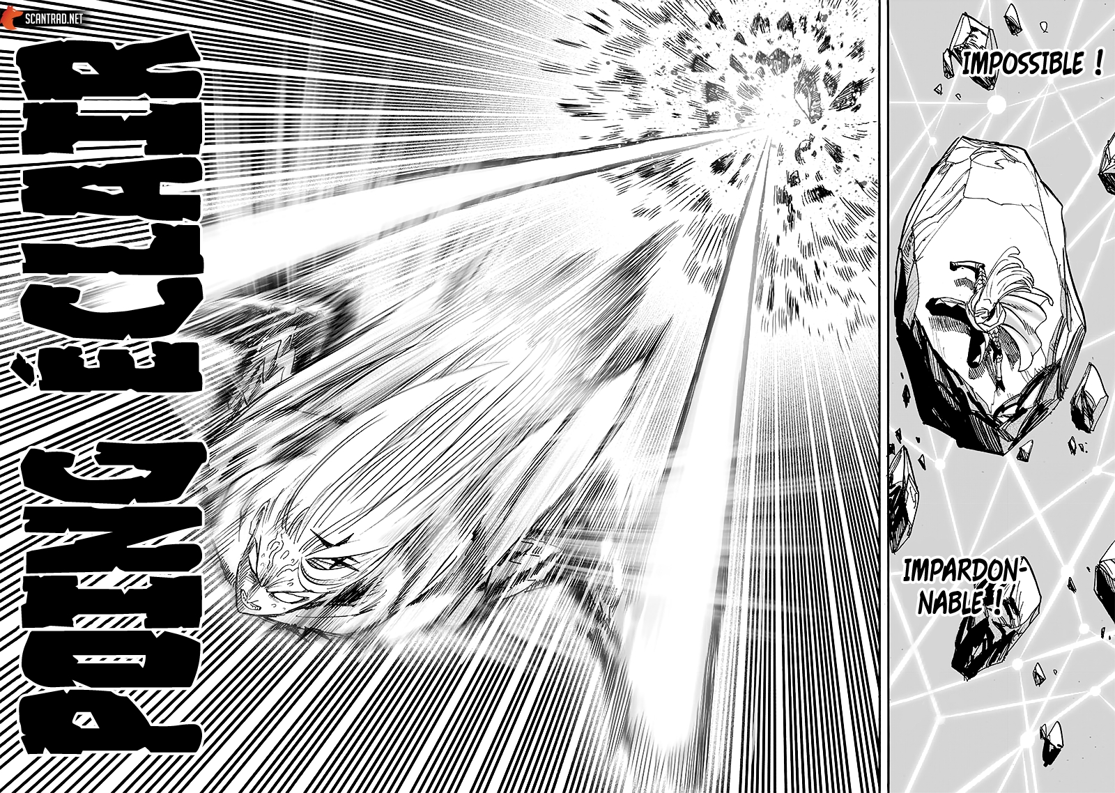 Read One Punch man (fr) Manga Online