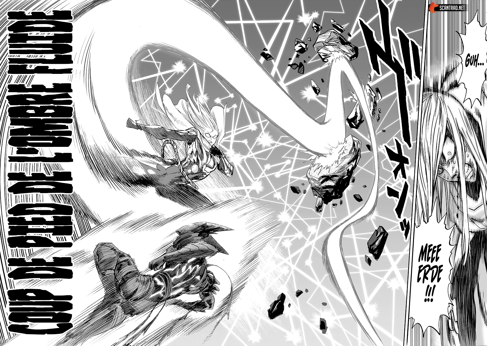 Read One Punch man (fr) Manga Online