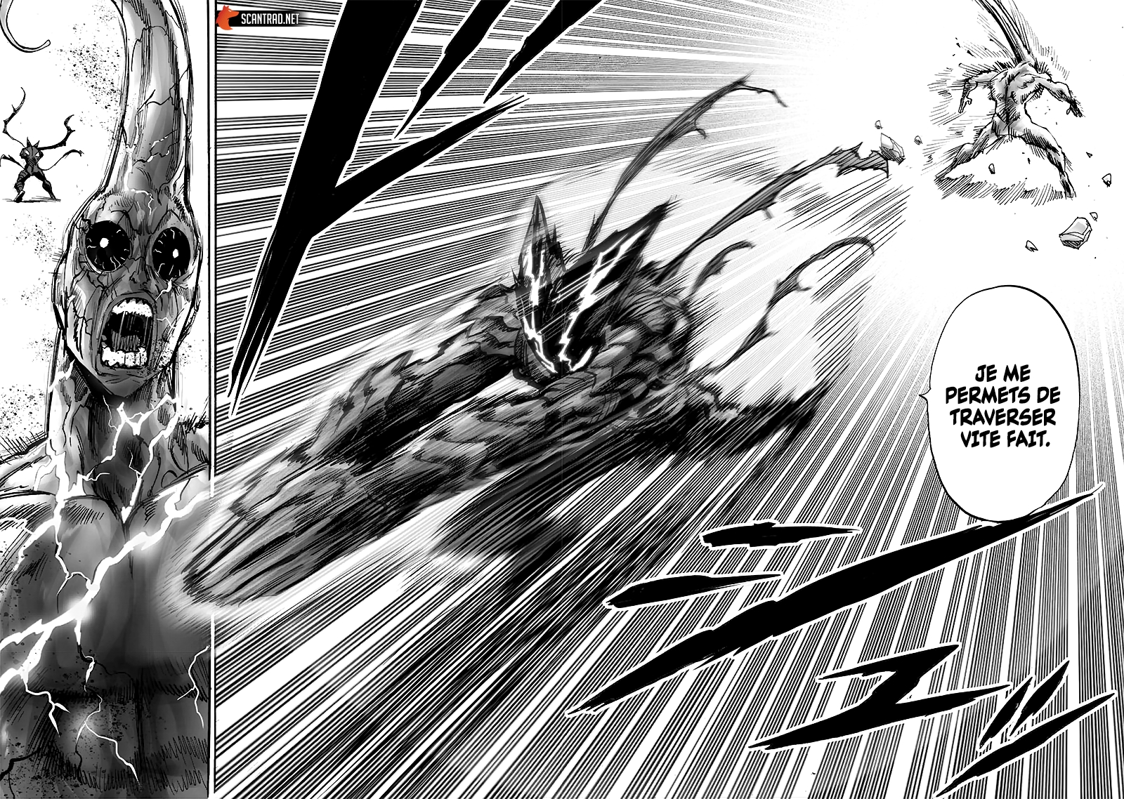 Read One Punch man (fr) Manga Online