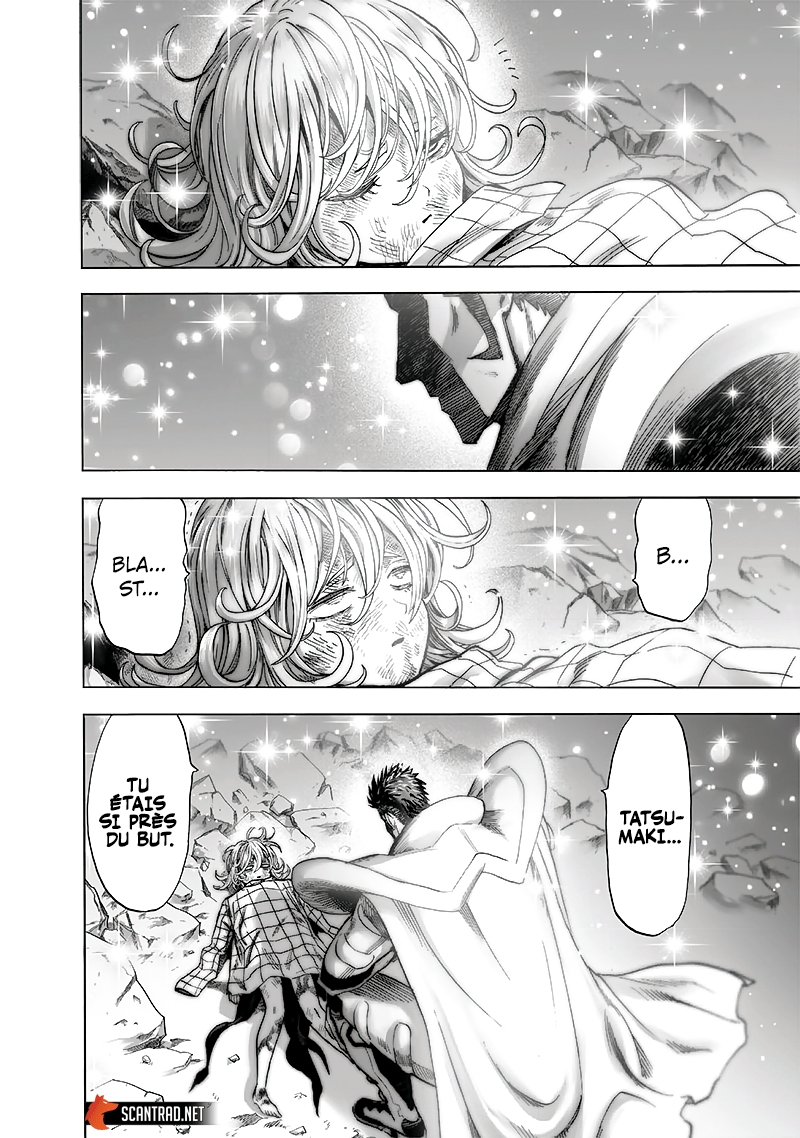 Read One Punch man (fr) Manga Online