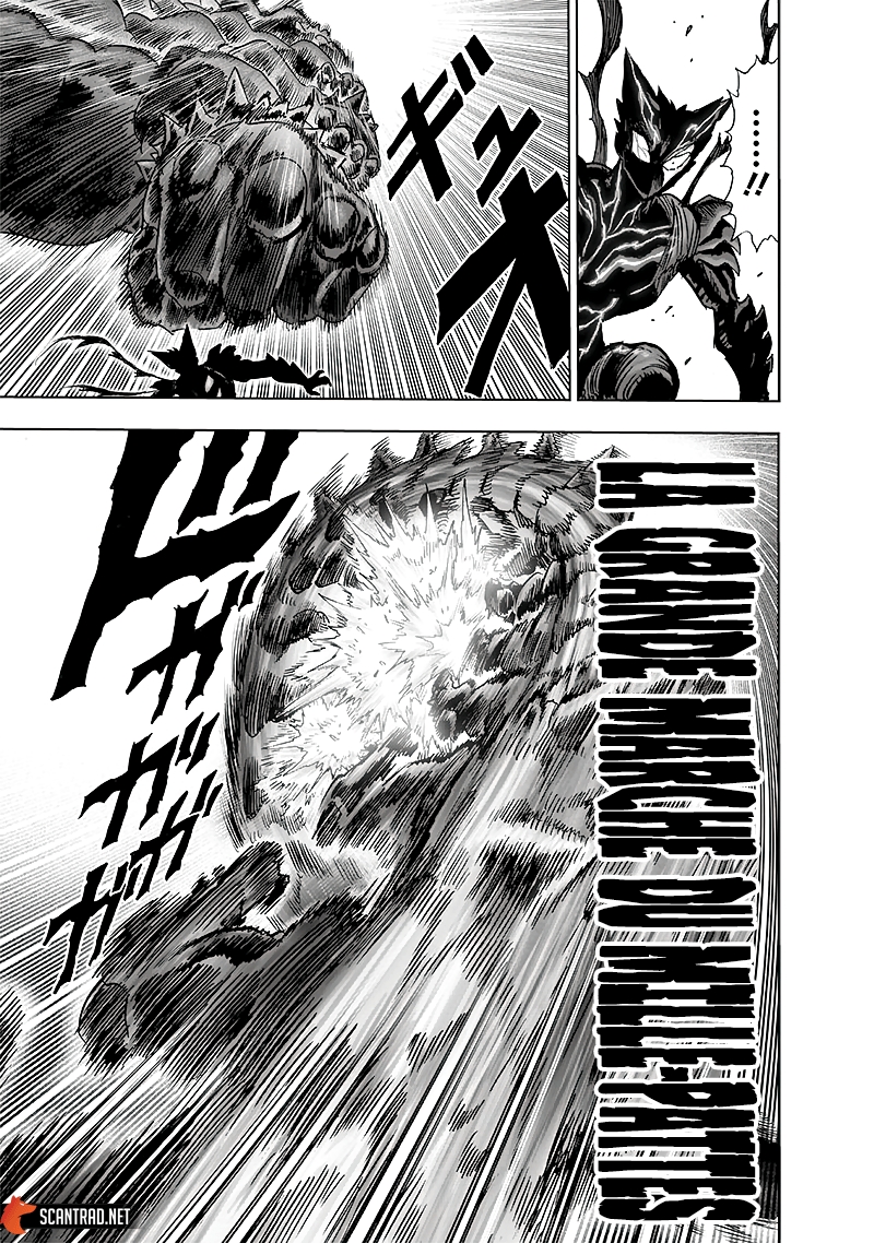 Read One Punch man (fr) Manga Online