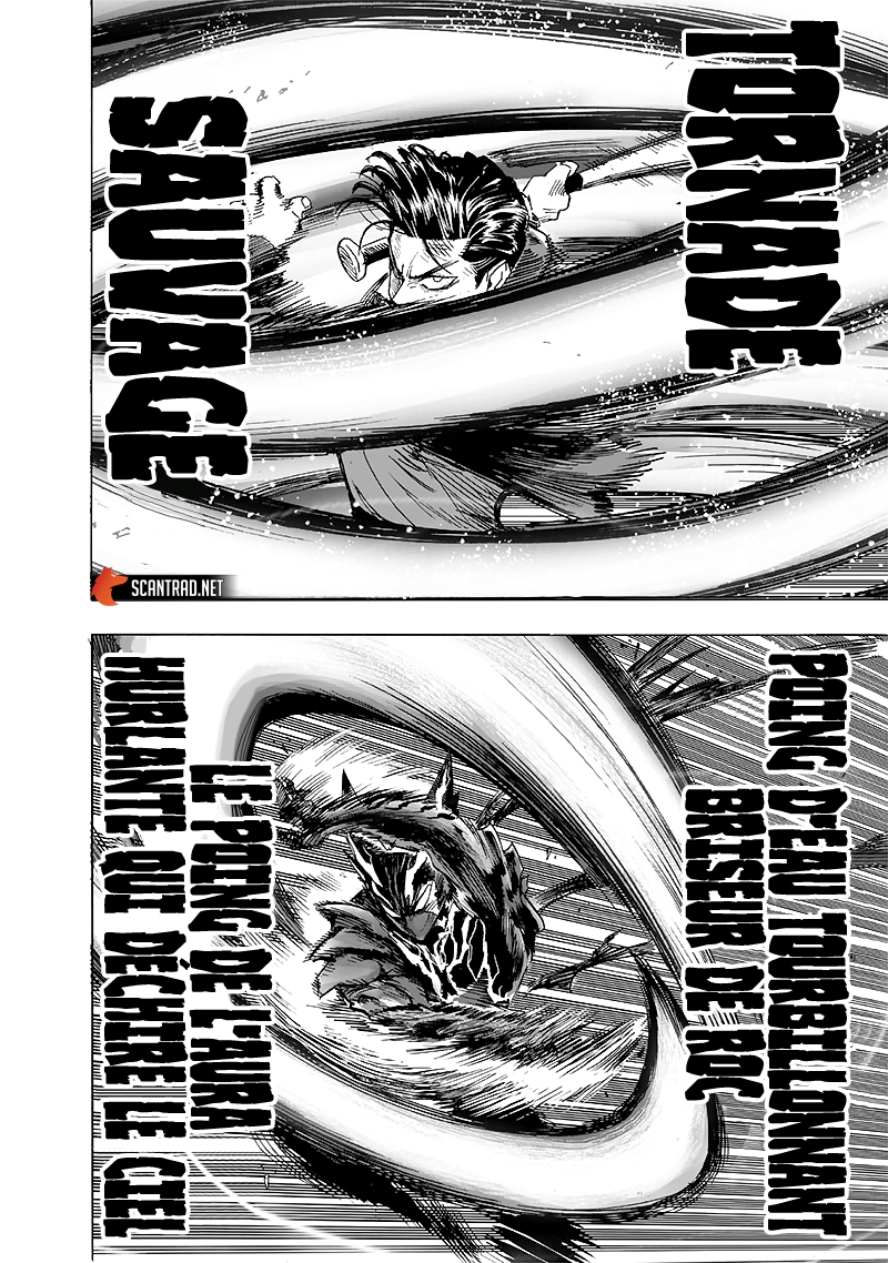 Read One Punch man (fr) Manga Online