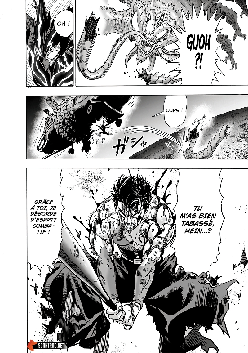 Read One Punch man (fr) Manga Online
