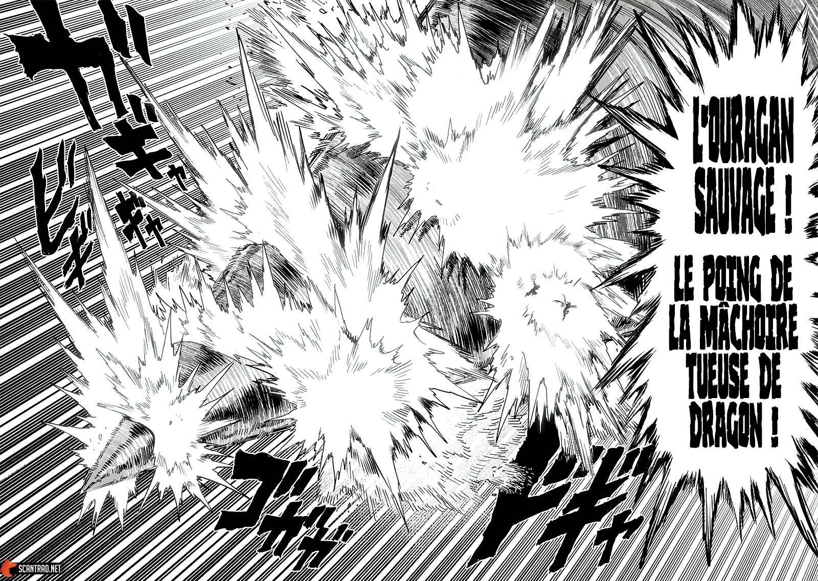 Read One Punch man (fr) Manga Online