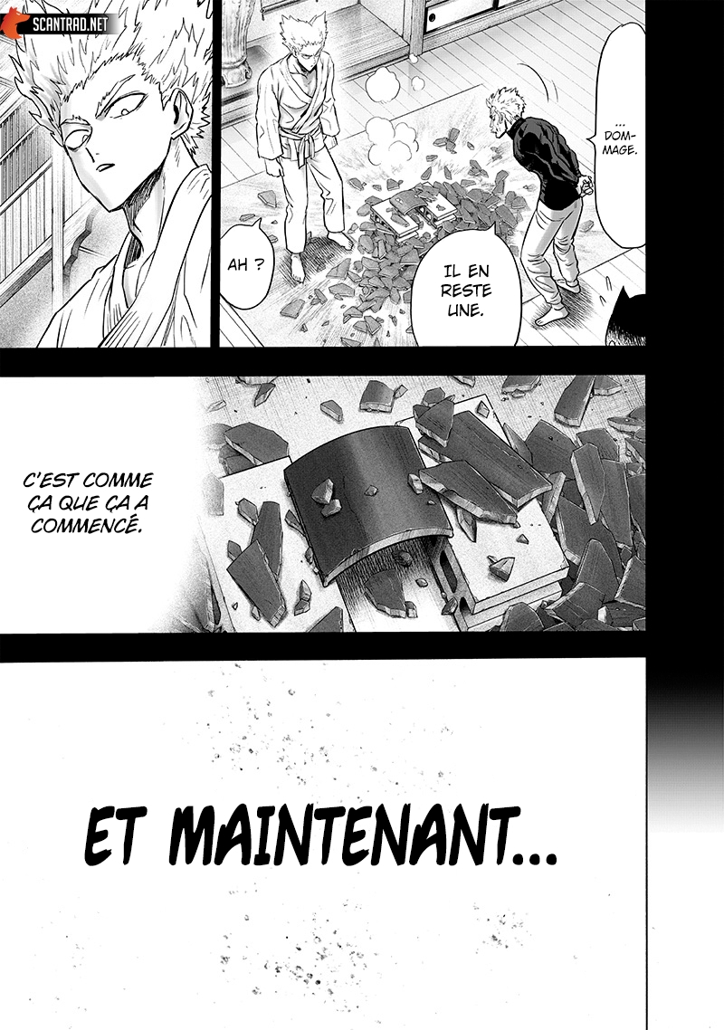 Read One Punch man (fr) Manga Online