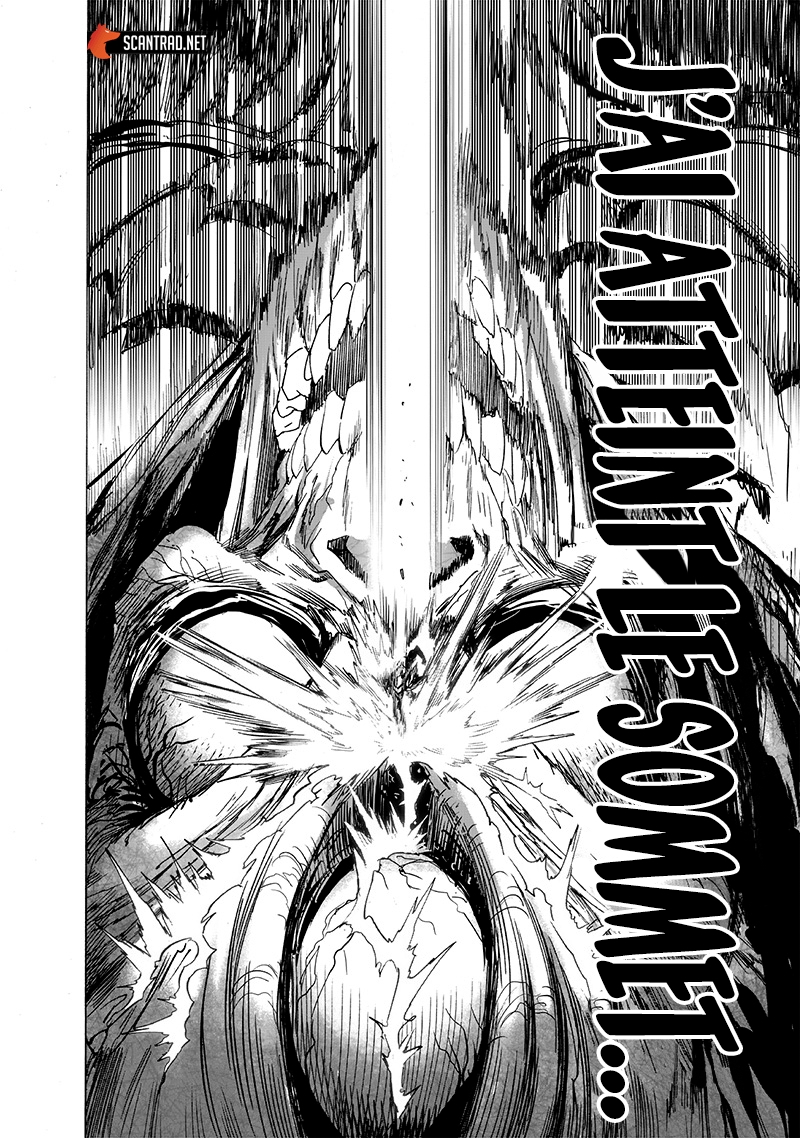 Read One Punch man (fr) Manga Online