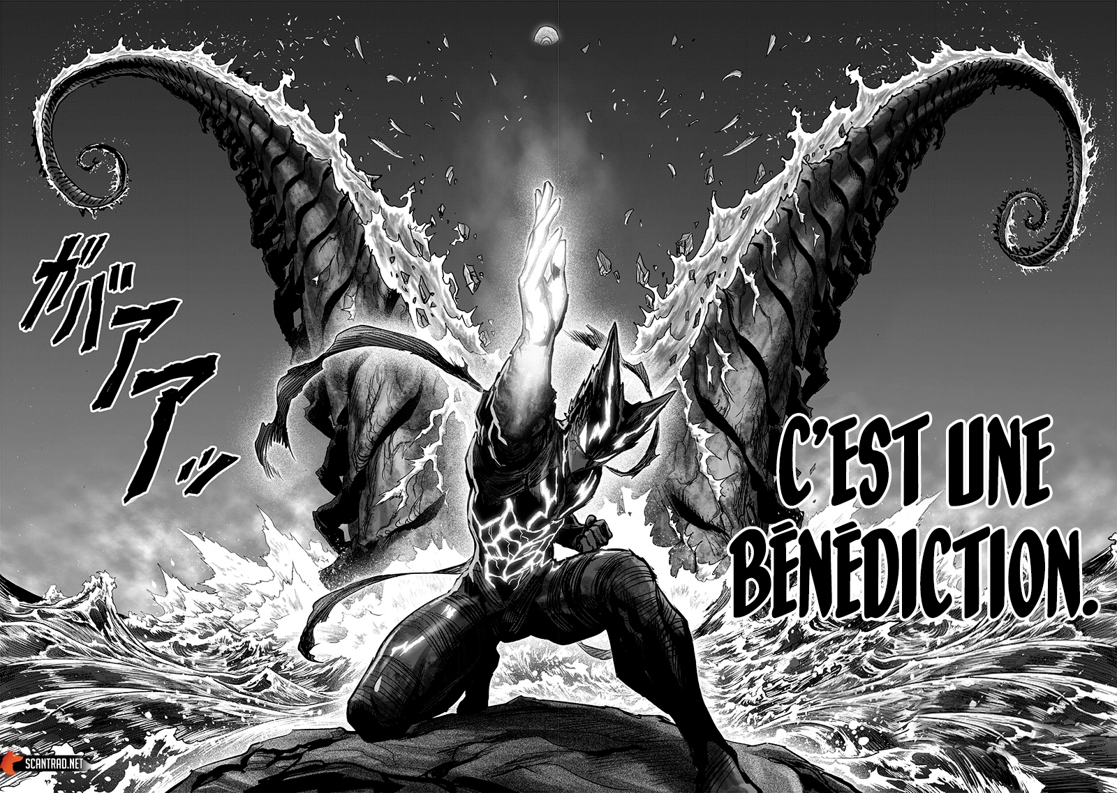 Read One Punch man (fr) Manga Online