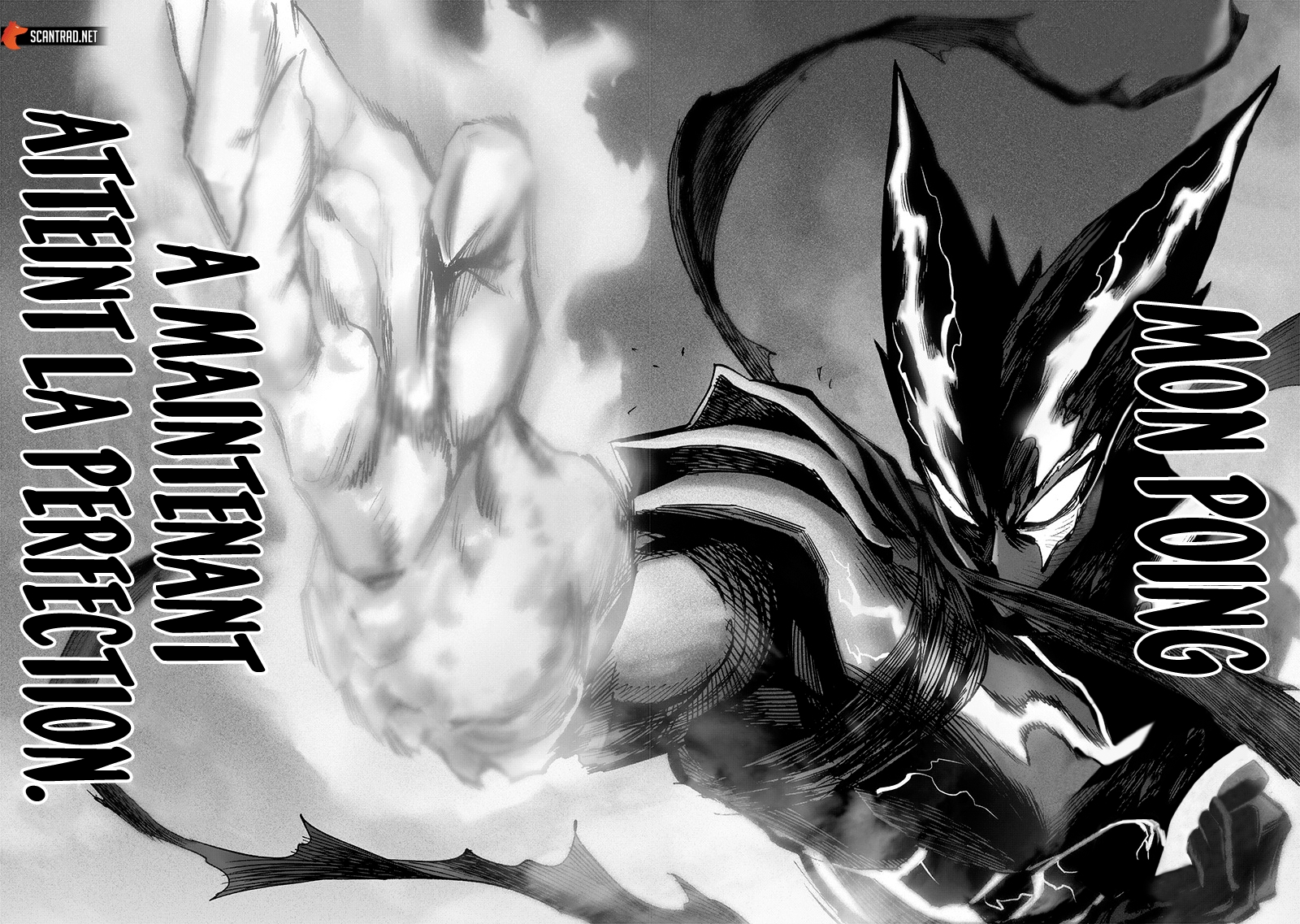 Read One Punch man (fr) Manga Online