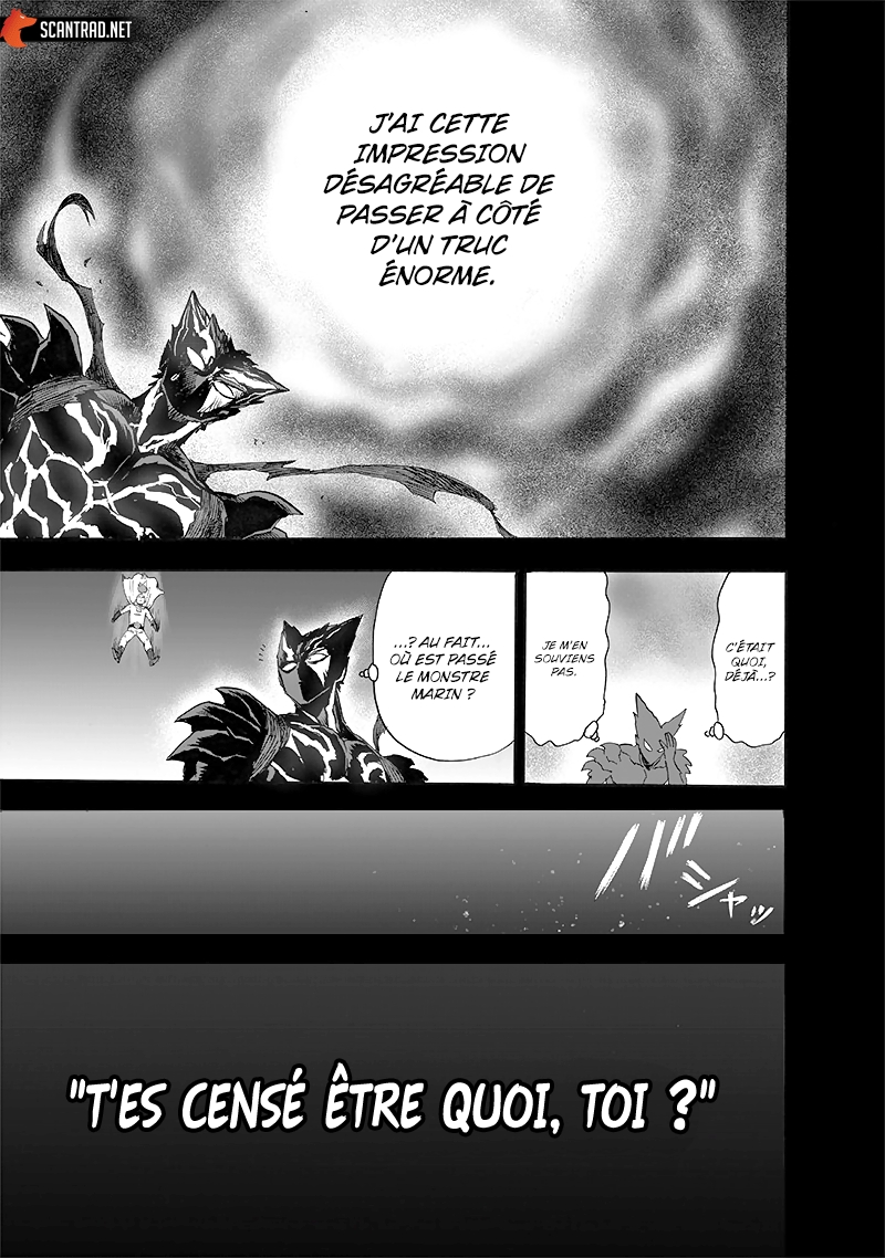 Read One Punch man (fr) Manga Online