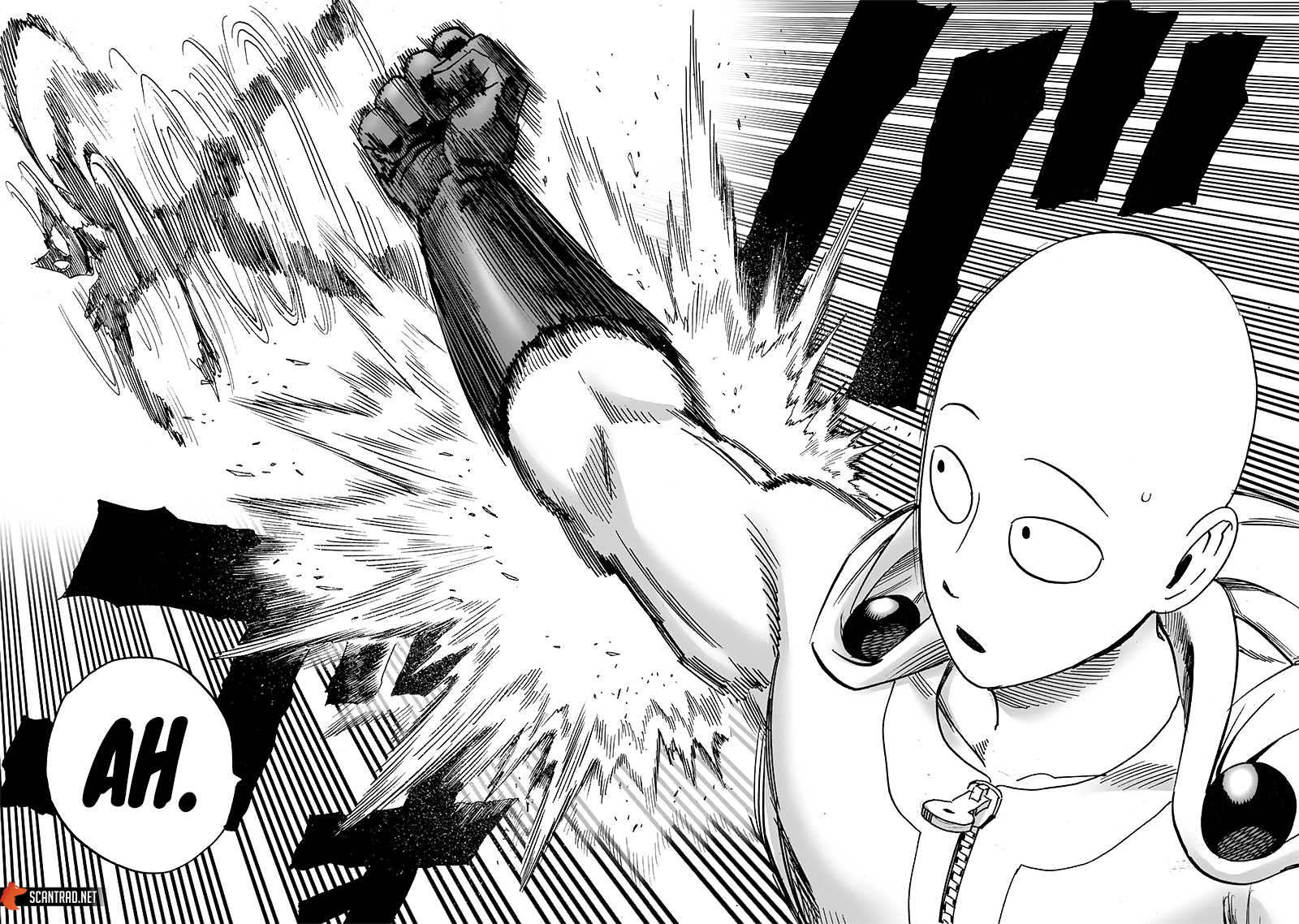 Read One Punch man (fr) Manga Online