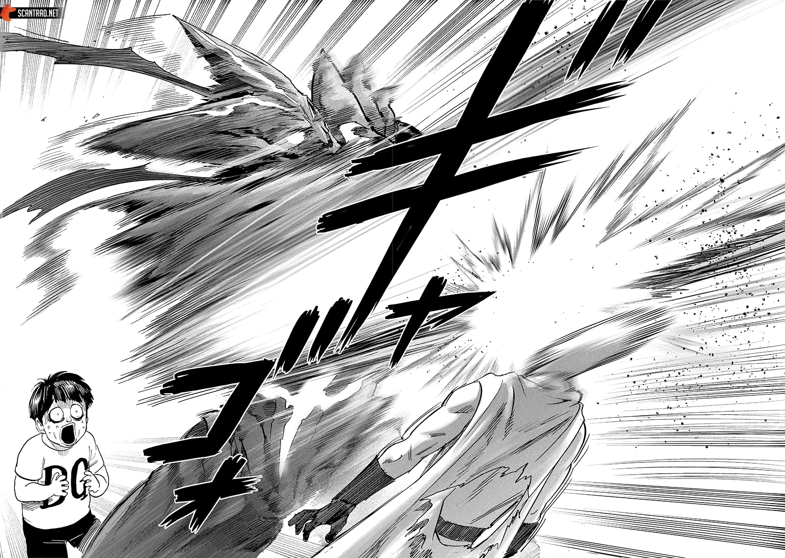 Read One Punch man (fr) Manga Online