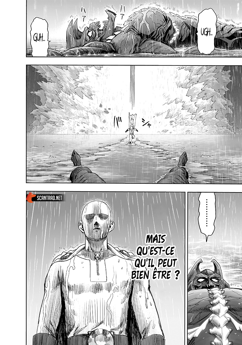 Read One Punch man (fr) Manga Online