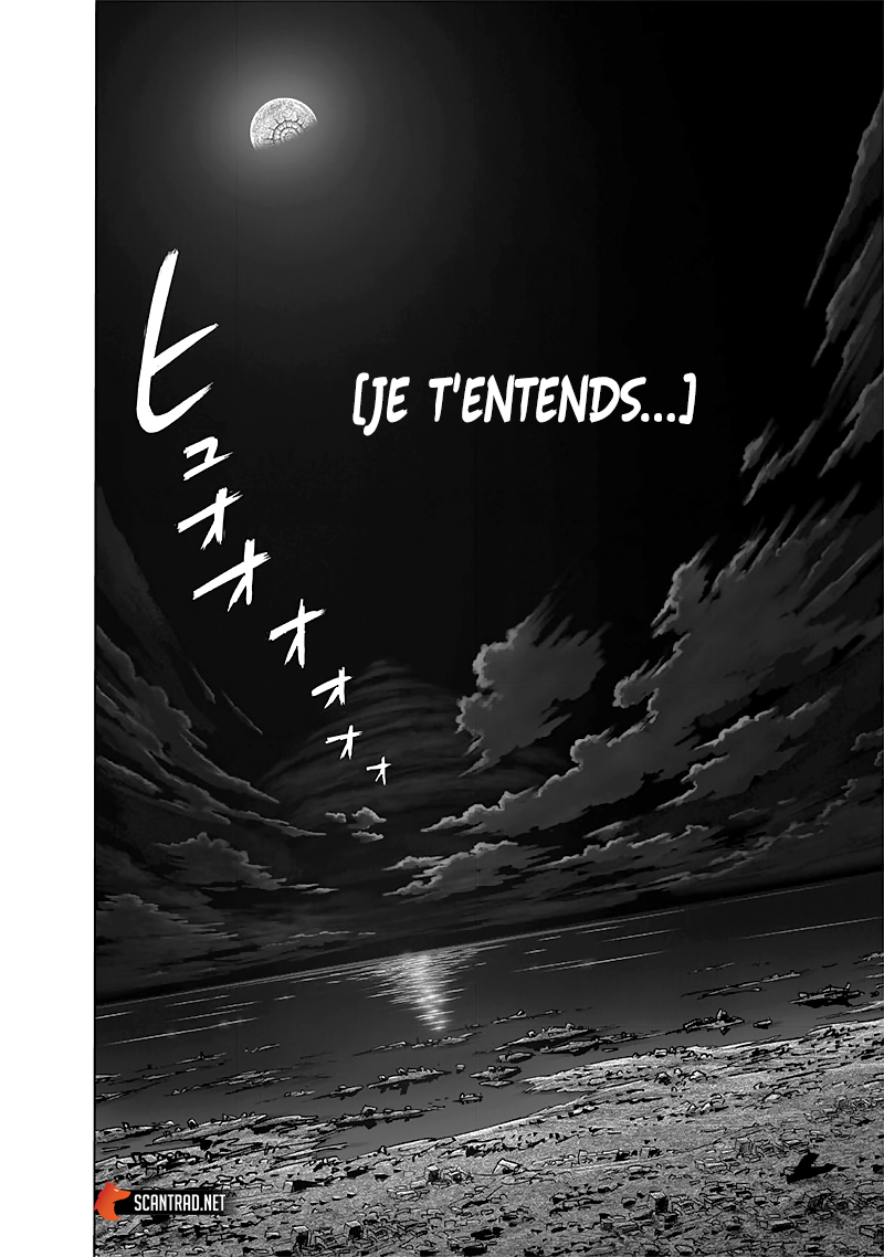 Read One Punch man (fr) Manga Online