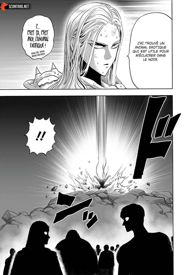 Read One Punch man (fr) Manga Online