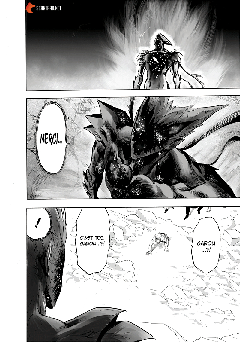 Read One Punch man (fr) Manga Online