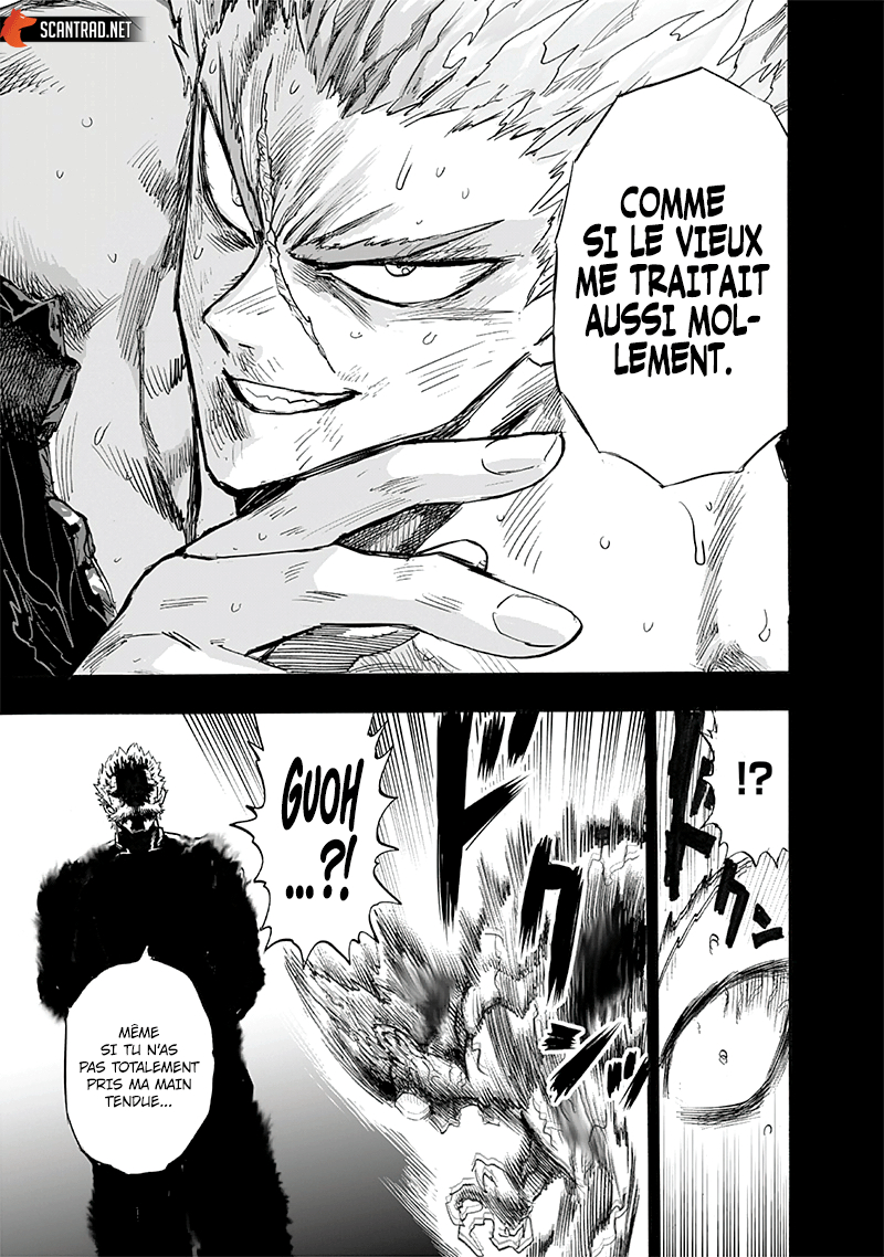 Read One Punch man (fr) Manga Online