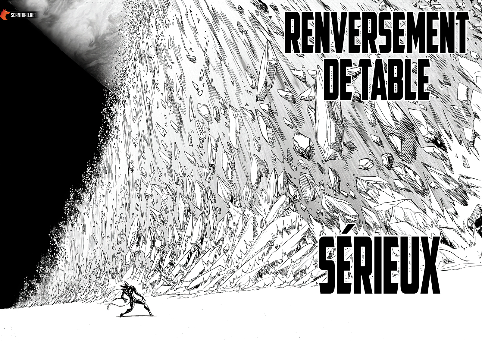 Read One Punch man (fr) Manga Online