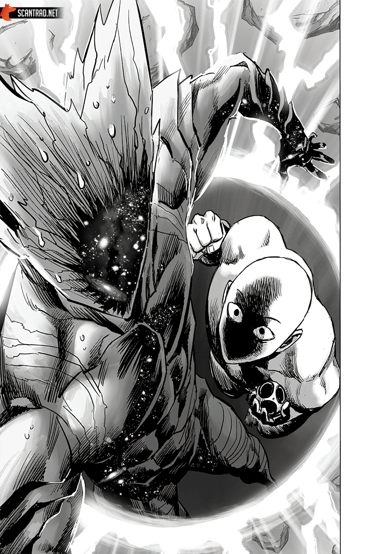 Read One Punch man (fr) Manga Online