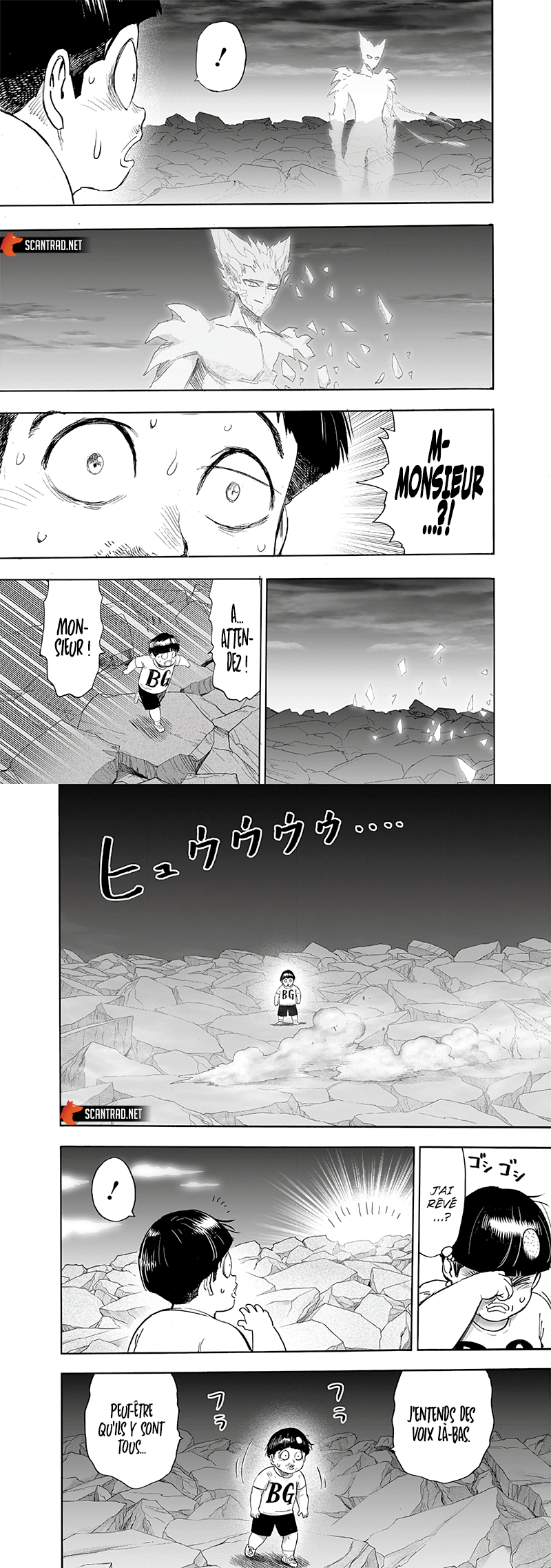 Read One Punch man (fr) Manga Online