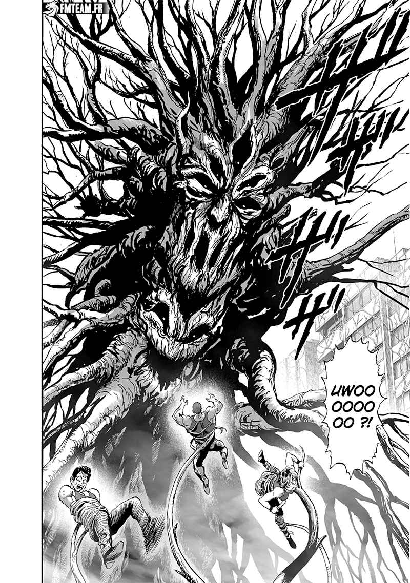 Read One Punch man (fr) Manga Online