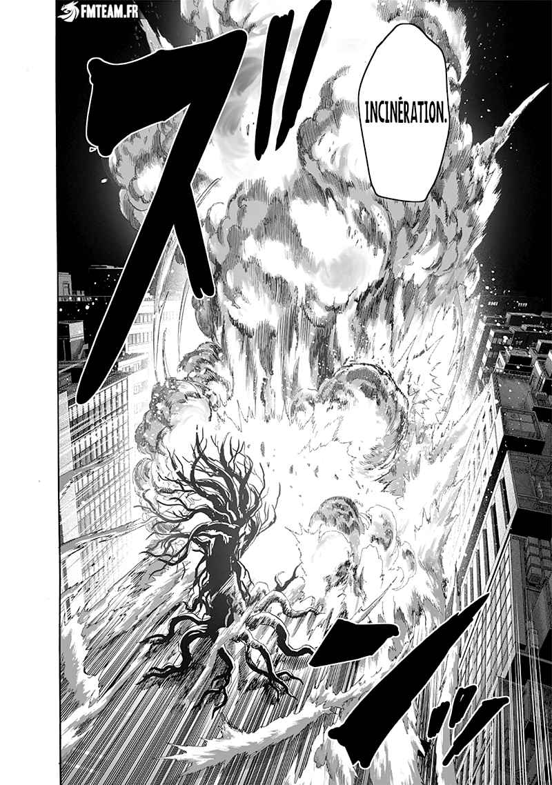 Read One Punch man (fr) Manga Online