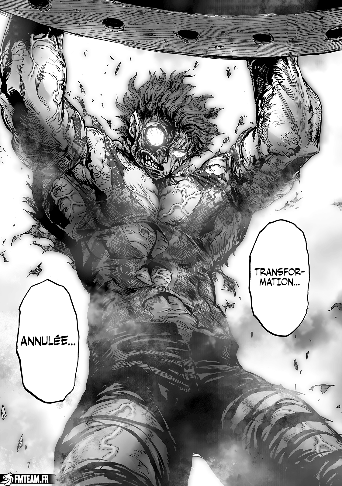 Read One Punch man (fr) Manga Online