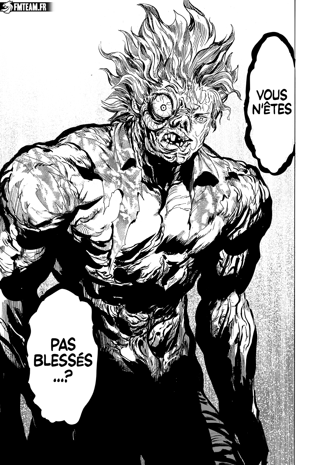 Read One Punch man (fr) Manga Online