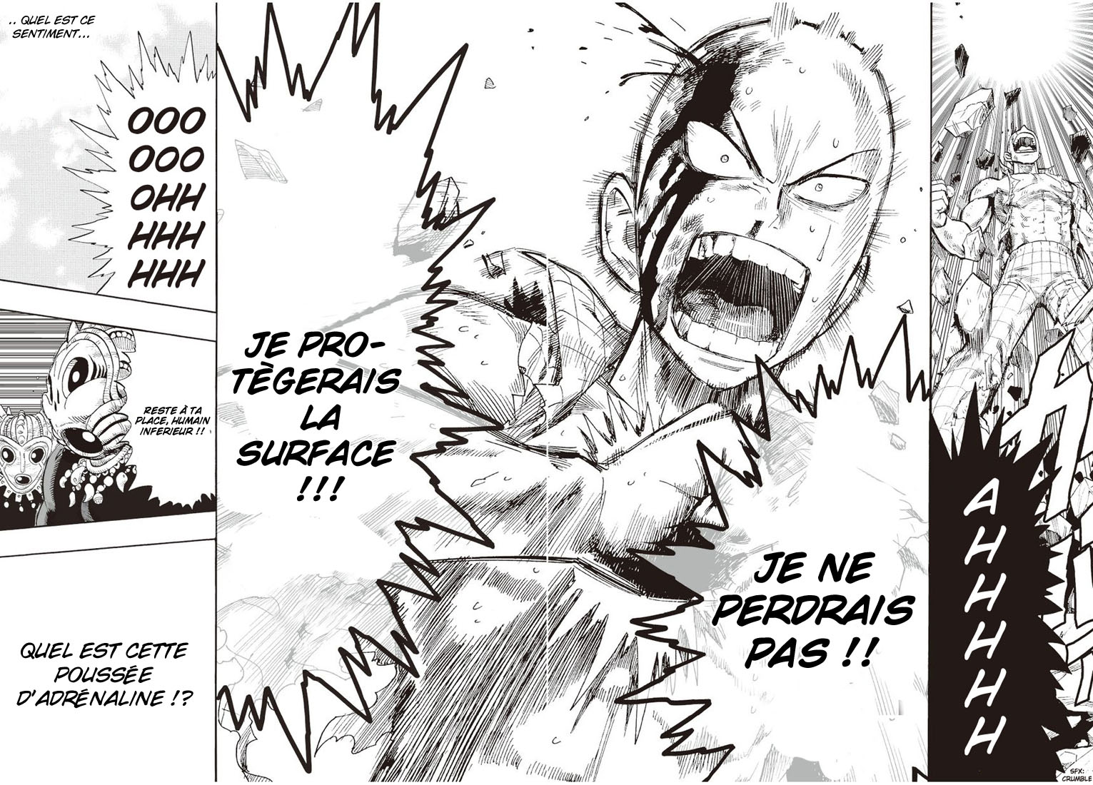 Read One Punch man (fr) Manga Online