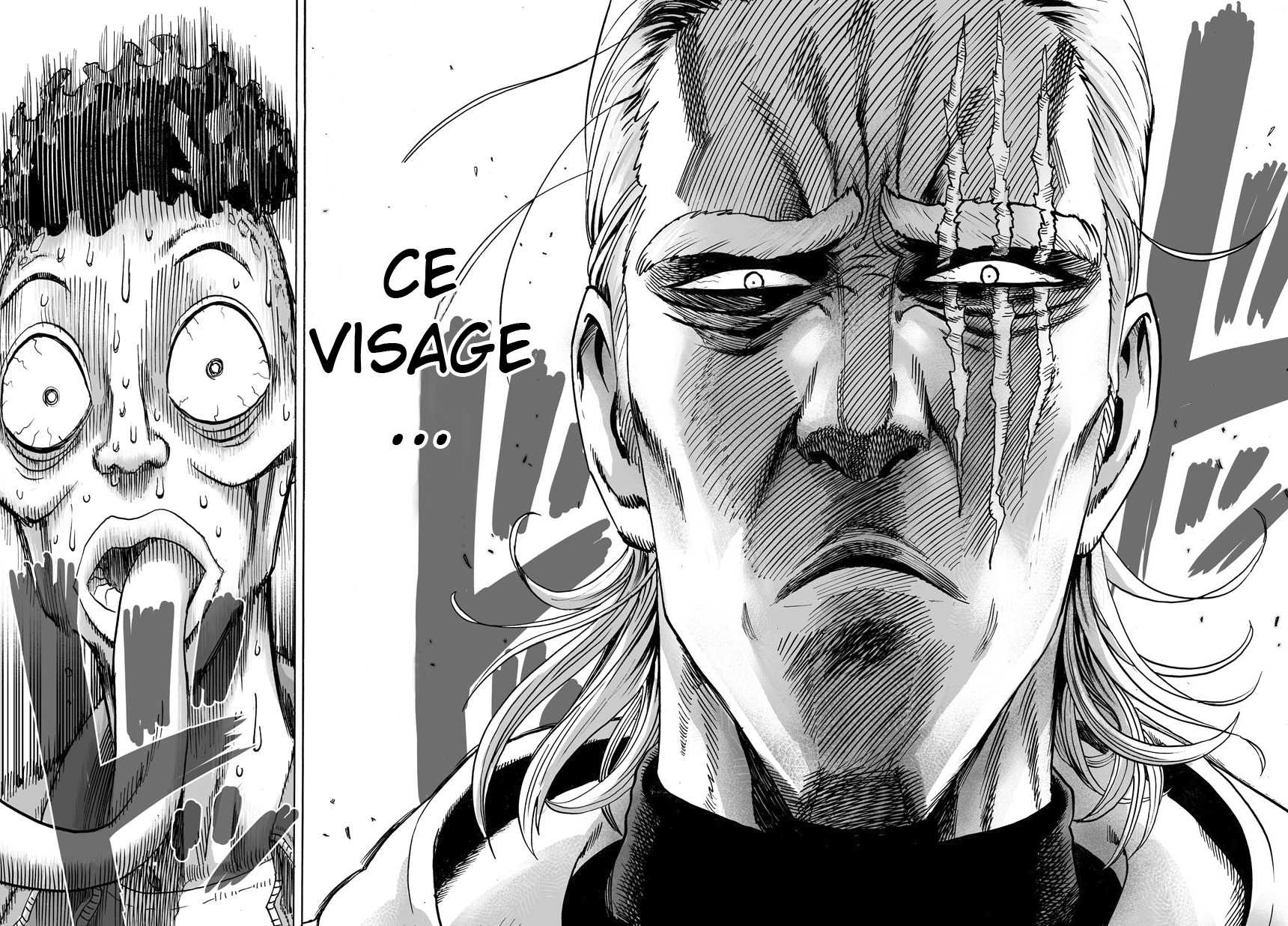 Read One Punch man (fr) Manga Online