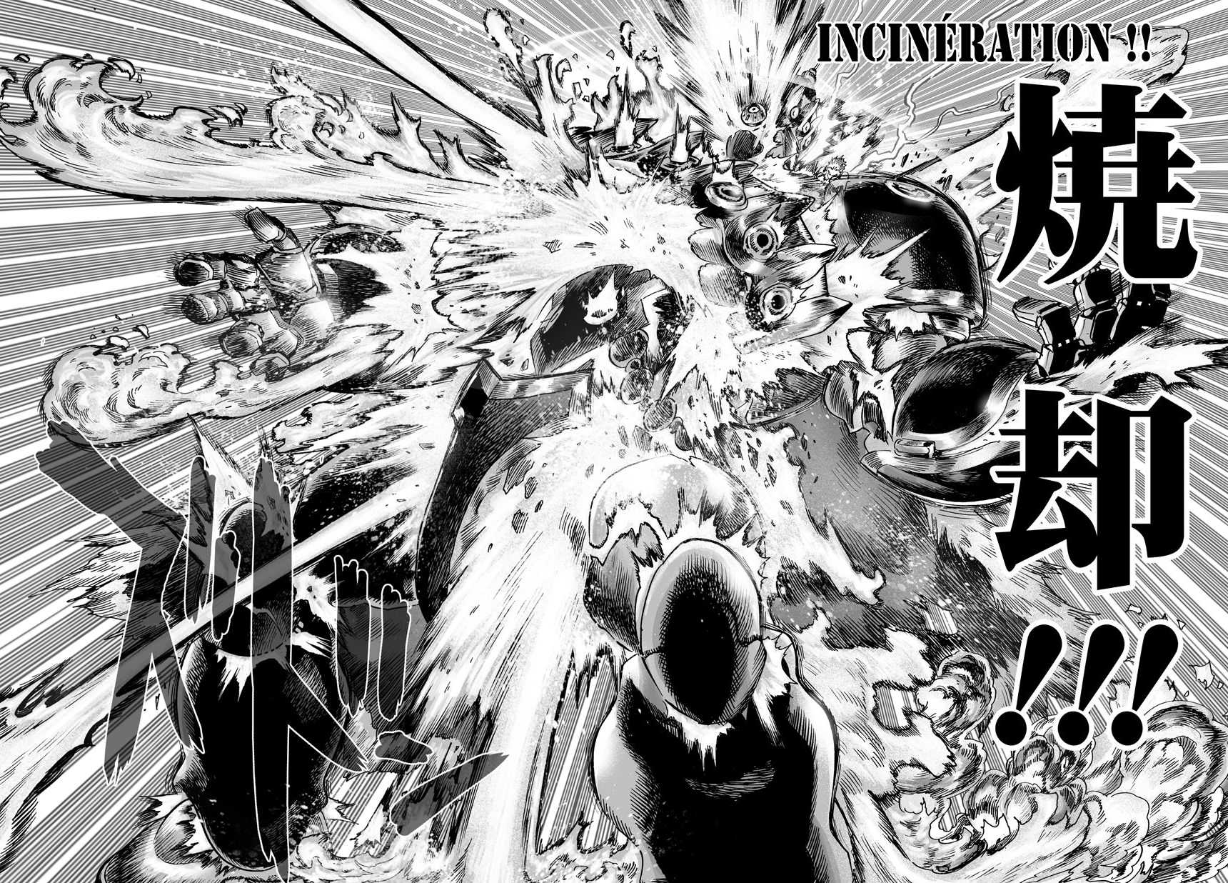 Read One Punch man (fr) Manga Online