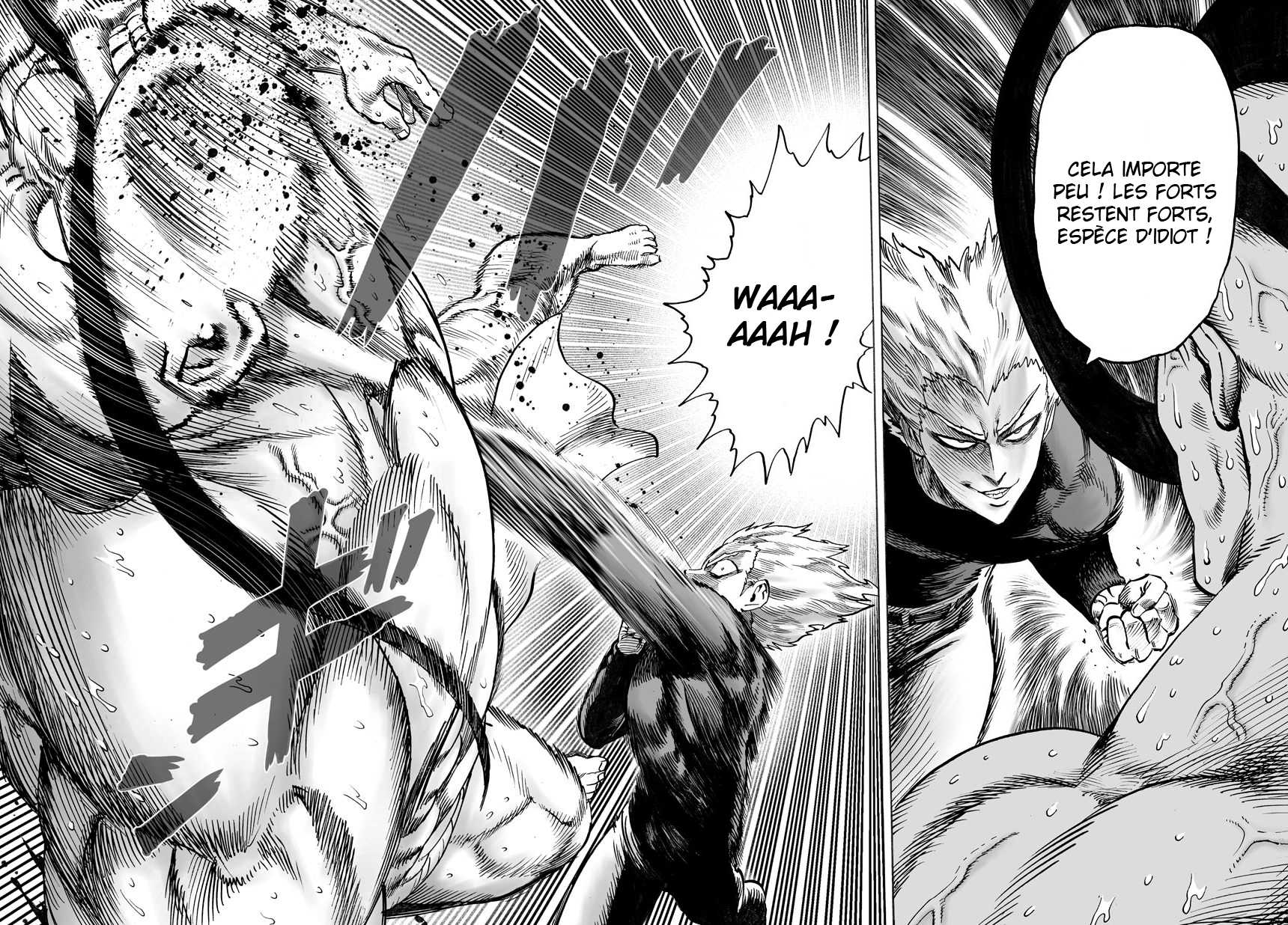 Read One Punch man (fr) Manga Online