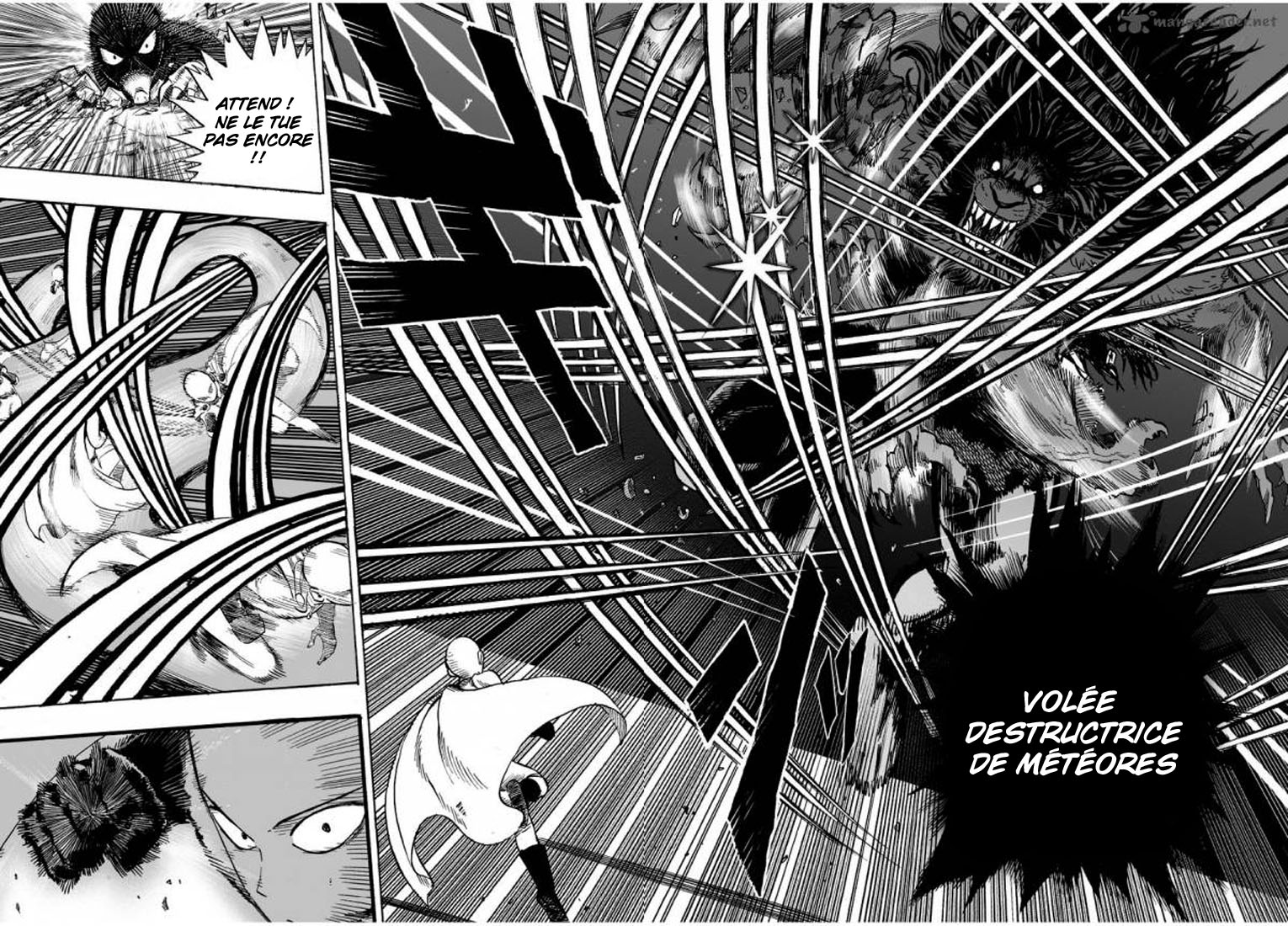 Read One Punch man (fr) Manga Online