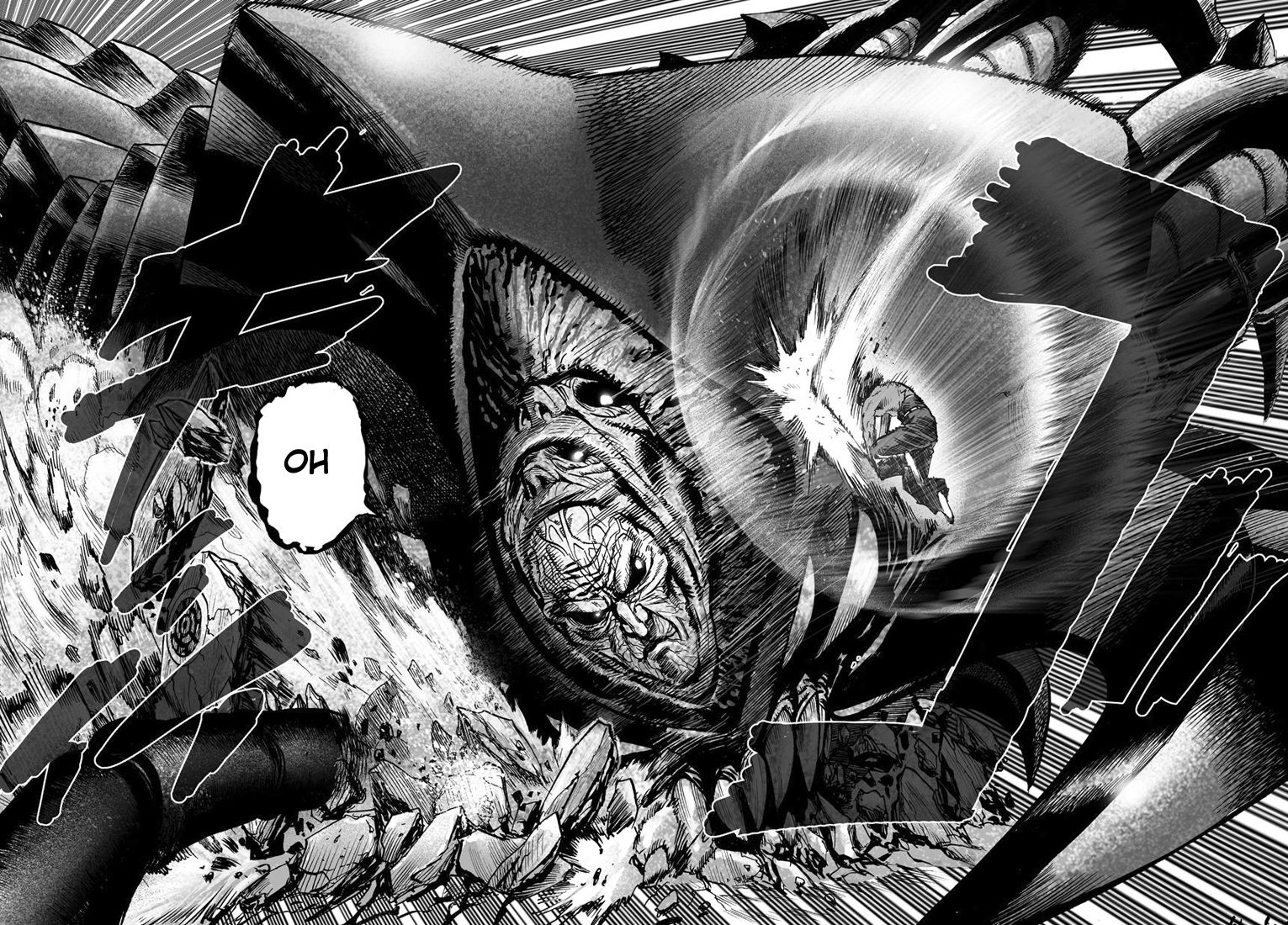 Read One Punch man (fr) Manga Online