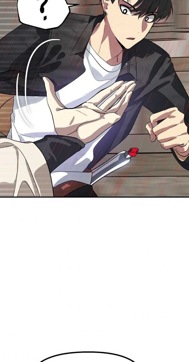 Read SSS-Class Revival Hunter (fr) Manga Online