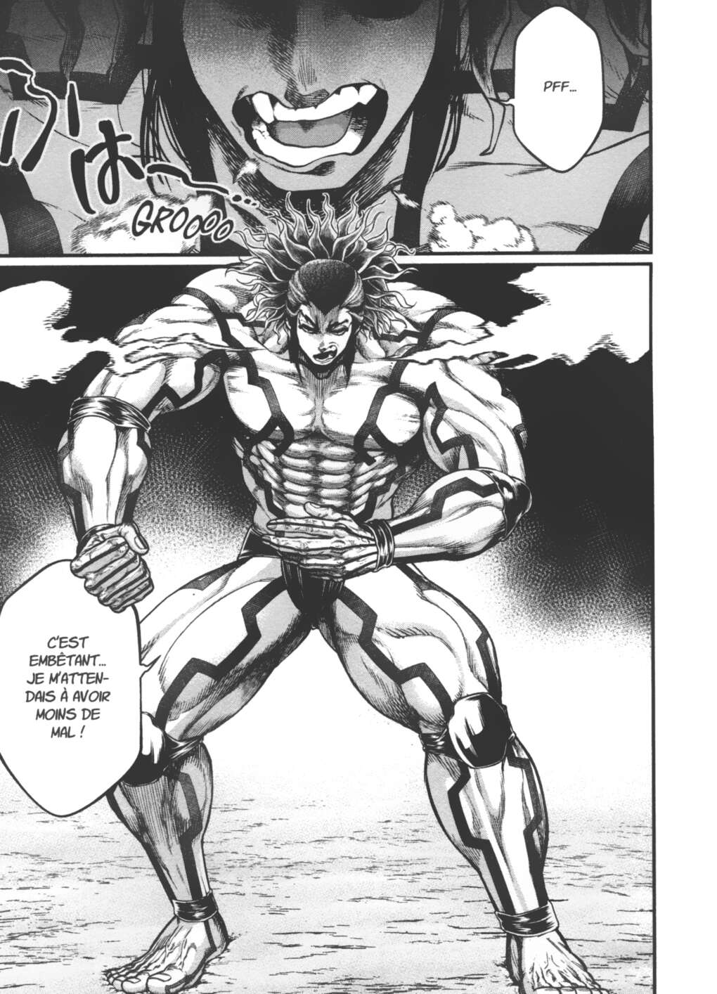 Read Valkyrie Apocalypse (fr) Manga Online