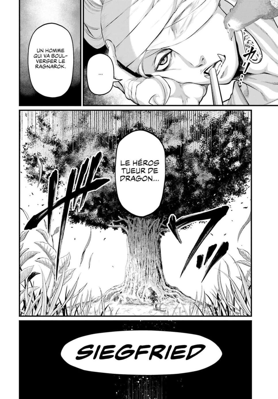 Read Valkyrie Apocalypse (fr) Manga Online